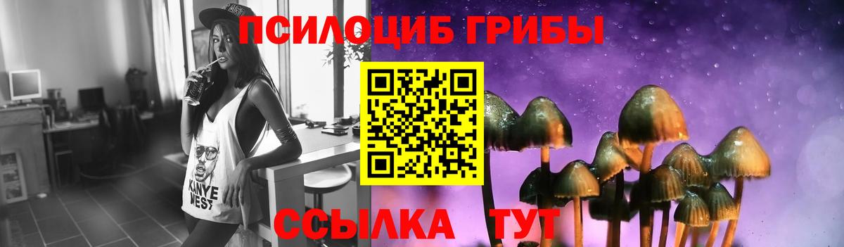 Раменское  Псилоцибиновые грибы GOLDEN TEACHER  Вход с VPN 