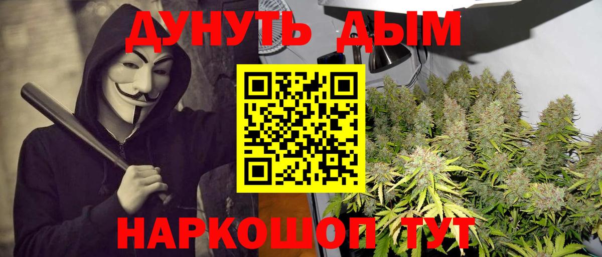 Бошки марихуана план  Бошки Шишки план  Шишки марихуана VHQ  Вход с VPN  Раменское 